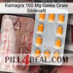 Kamagra 100 Mg Gelée Orale Sildénafil new13